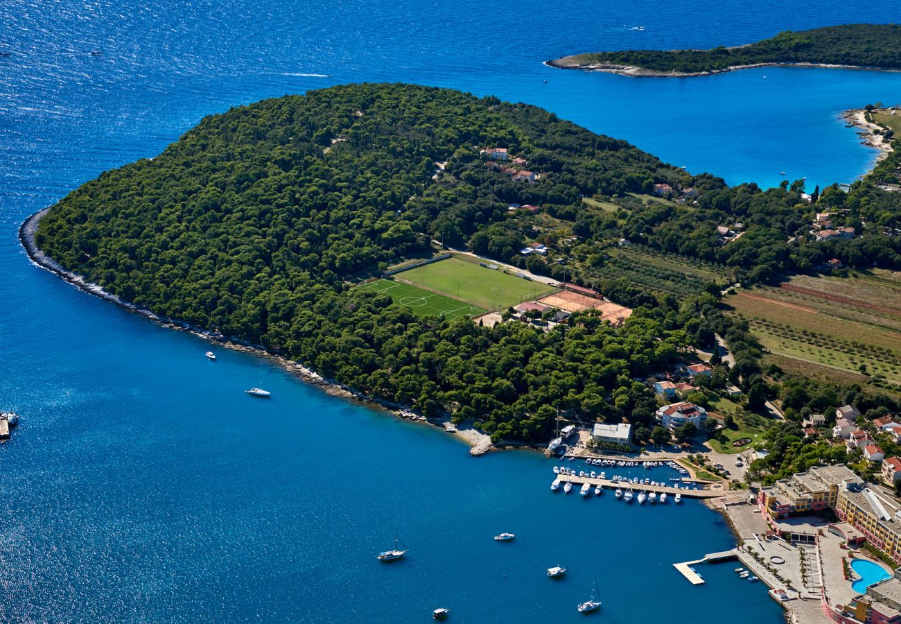 Apartment in Vintijan - Villa Vintiana - Shared Pool, 1 Bedroom