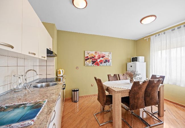 Apartment in Kampor - Seafront Apt on Sunny Rab Island - Neda Maslina  Apartment in Kampor - Seafront Apt on Sunny Rab Island - Neda Maslina
