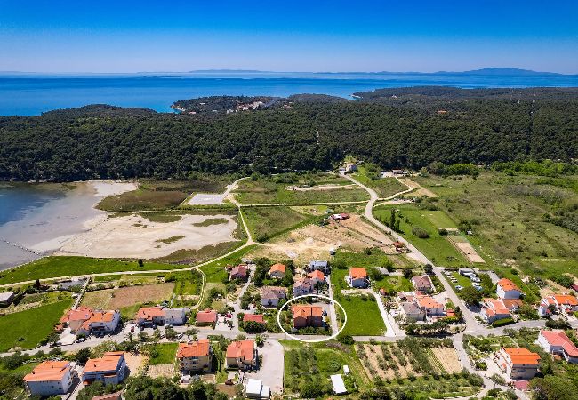Apartment in Kampor - Seafront Apt on Sunny Rab Island - Neda Maslina  Apartment in Kampor - Seafront Apt on Sunny Rab Island - Neda Maslina