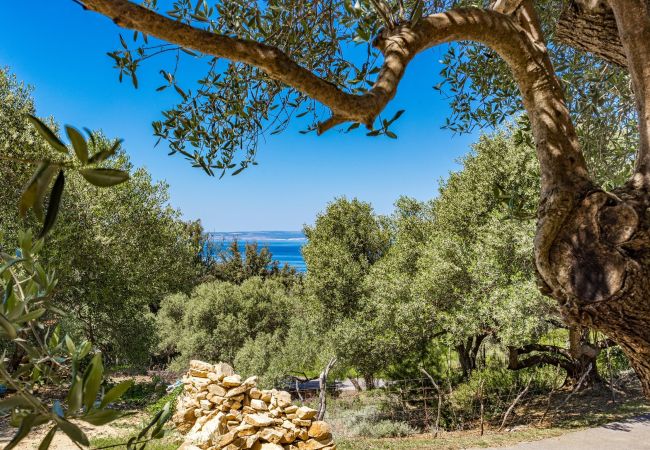 Rent by room in Supetarska Draga - Anamar - Cozy Double Room near the Beach Rent by room in Supetarska Draga - Anamar - Cozy Double Room near the Beach
