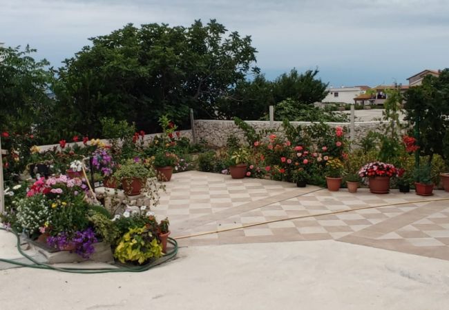 Apartment in Ražanac - Apartment Lemi - three bedroom apartment with a sea view Apartment in Ražanac - Apartment Lemi - three bedroom apartment with a sea view