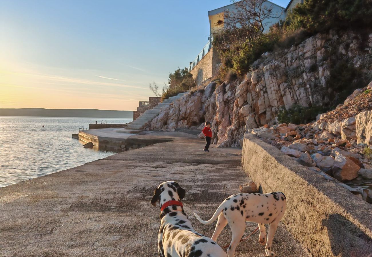 Apartment in Karlobag - Apartments Rina - magical sea view A1