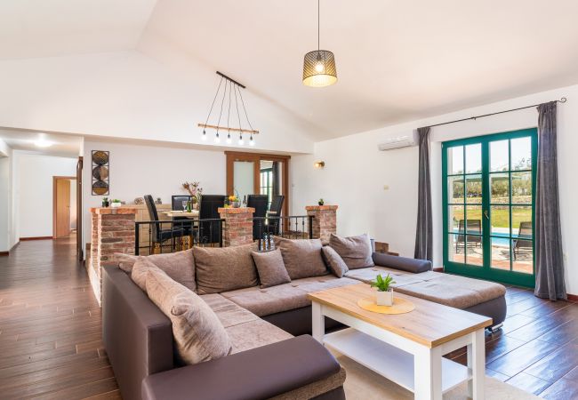 Villa in Vodnjan - Villa Boris with Private Pool  Villa in Vodnjan - Villa Boris with Private Pool