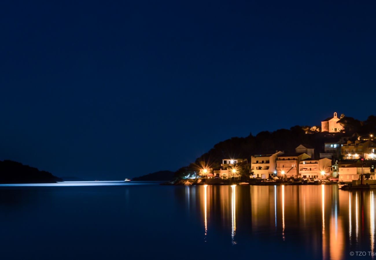 Apartment in Tisno - Apartments Kaina Tisno - sea view (blue)