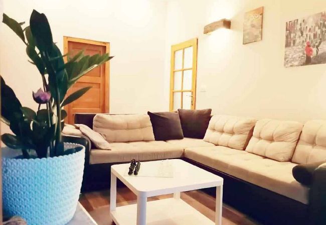 House in Pakoštane - Holiday Home Kotulin - three bedroom house with a terrace House in Pakoštane - Holiday Home Kotulin - three bedroom house with a terrace