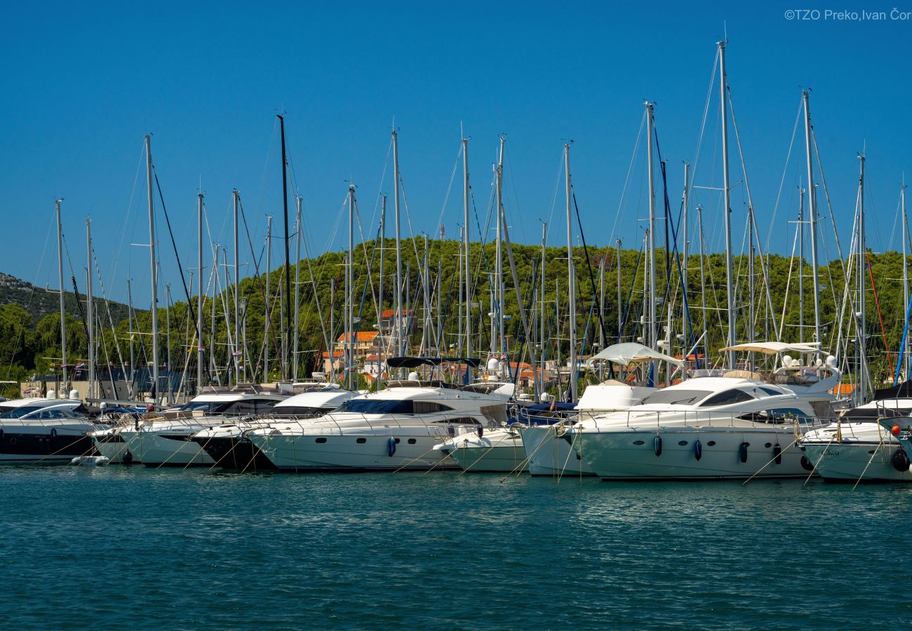 Apartment in Ugljan - Sea View Apartments Marvi (right)