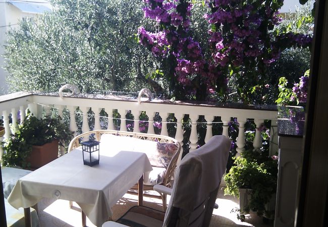 Apartment in Vodice - Apartments Gojevic - two bedroom apartment with a garden view A2 Apartment in Vodice - Apartments Gojevic - two bedroom apartment with a garden view A2