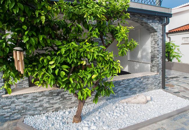 Apartment in Pirovac - Apartments Sea and Sun - Apartment Sun  Apartment in Pirovac - Apartments Sea and Sun - Apartment Sun