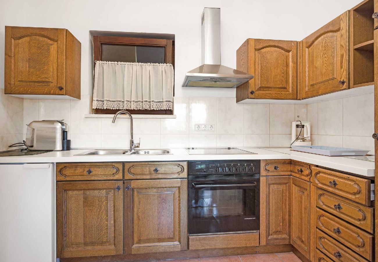 Apartment in Zaton - Cozy Apartment Hortenzija in Zaton 