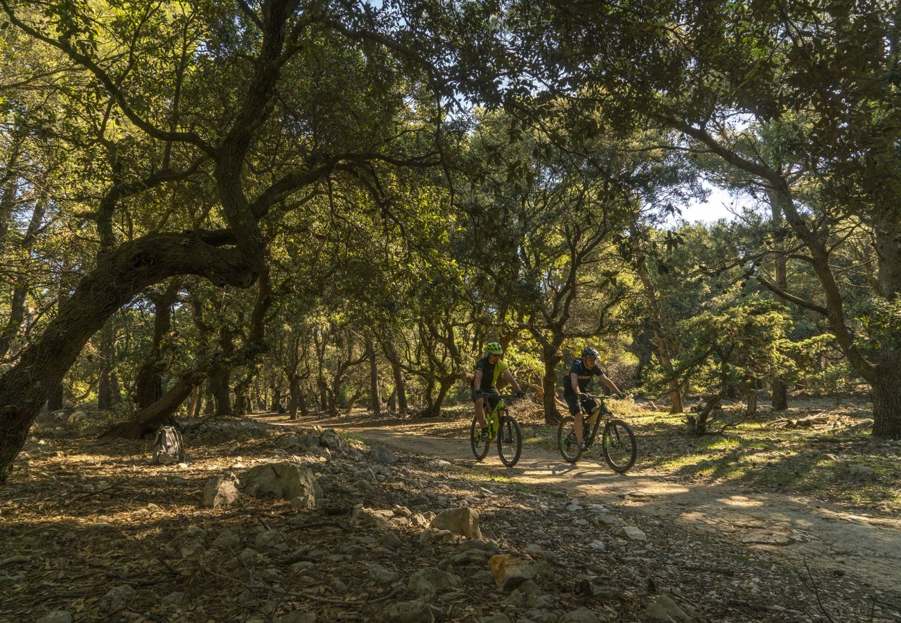 Apartment in Kampor - Seafront Paradise at Rab Island - Emily 3