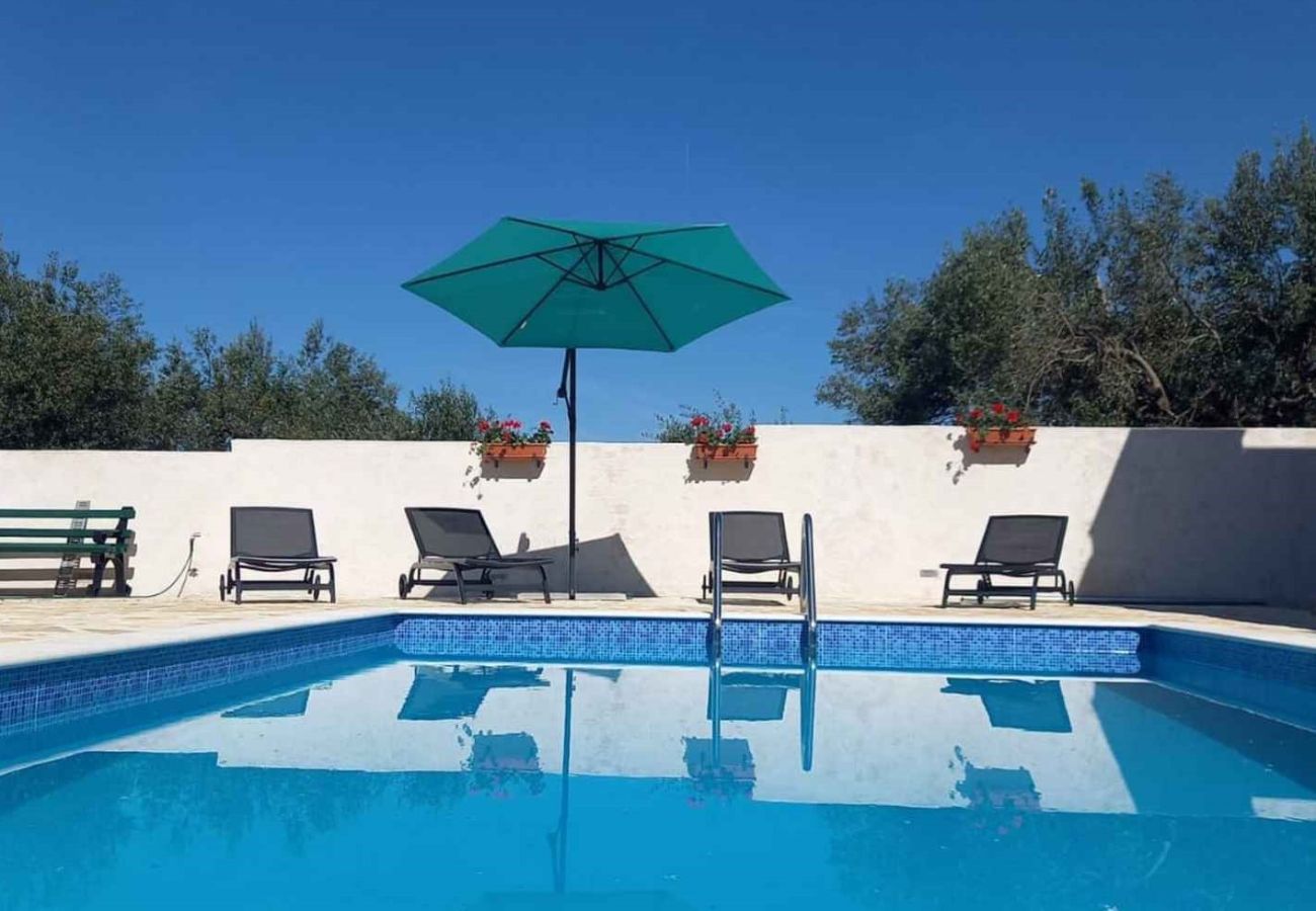 House in Benkovac - Holiday Home Leggiero - Holiday Home Leggiero - House with four bedrooms and outdoor pool