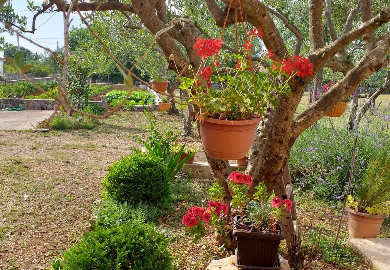 Apartment in Brištane - Rural Apartment Ante 