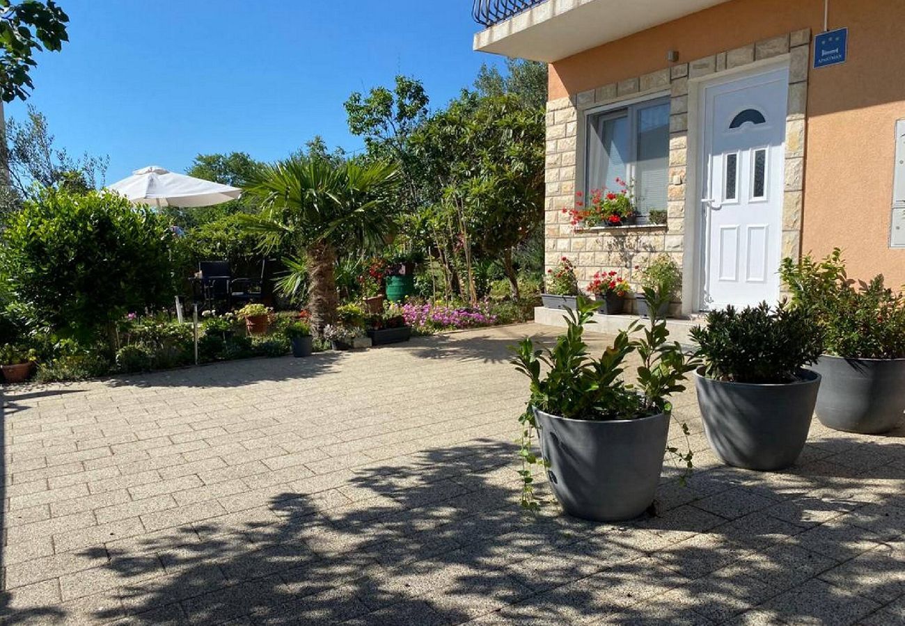 Apartment in Brištane - Rural Apartment Ante 
