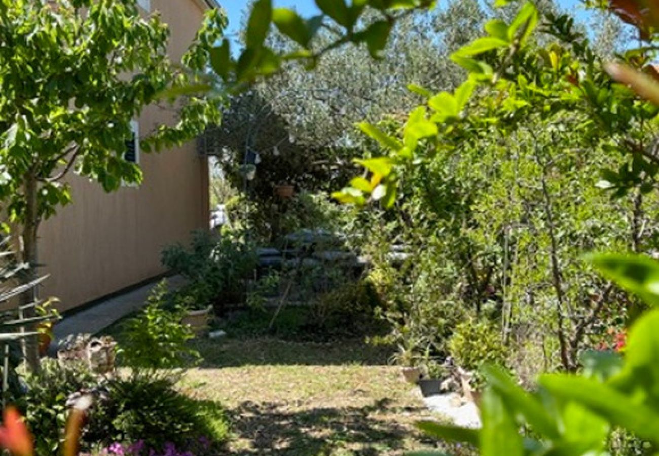 Apartment in Brištane - Rural Apartment Ante 
