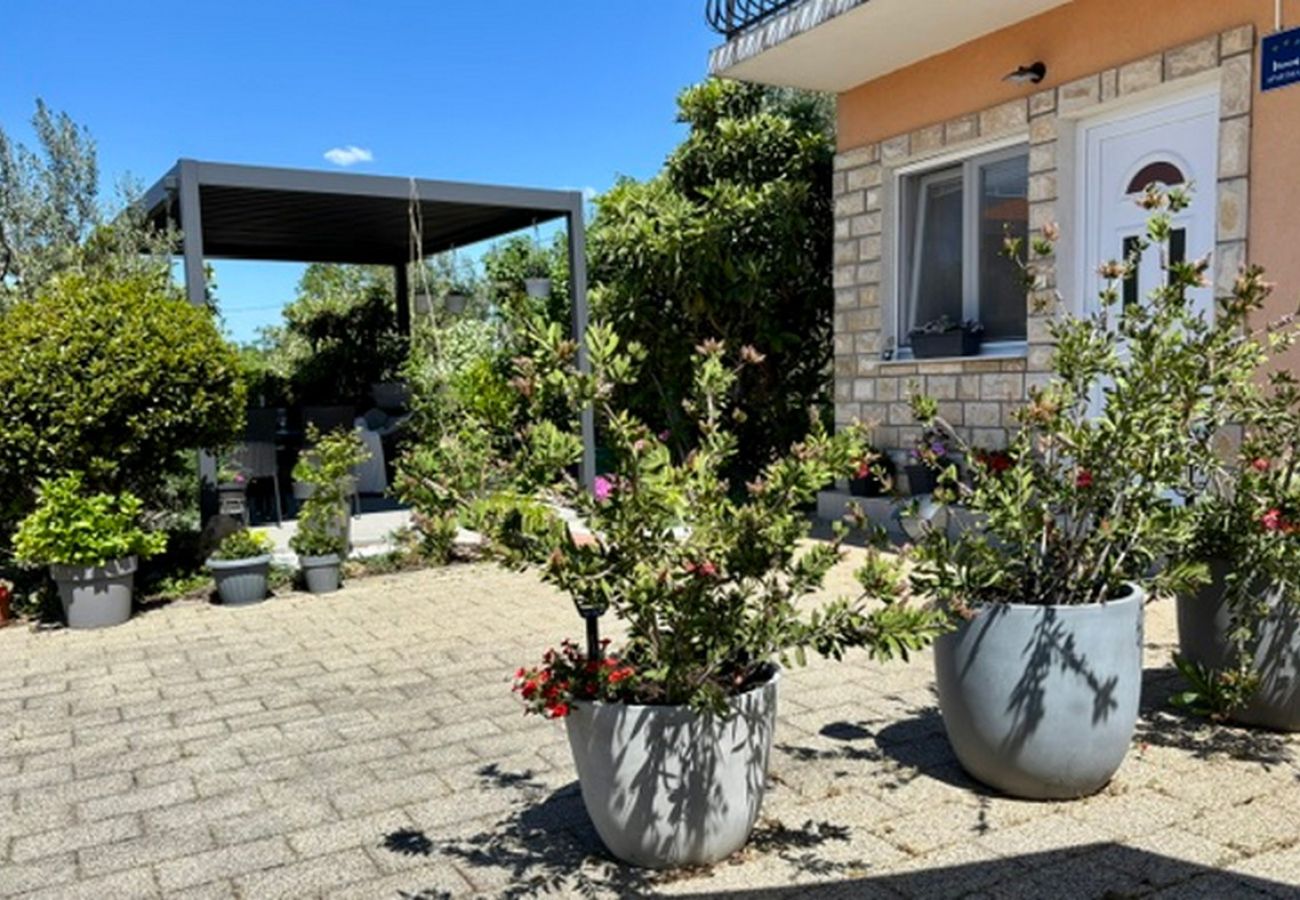 Apartment in Brištane - Rural Apartment Ante 