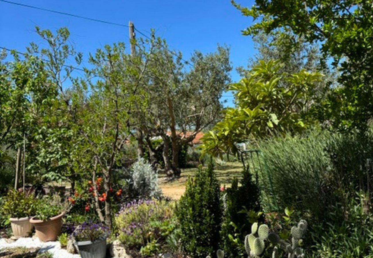 Apartment in Brištane - Rural Apartment Ante 