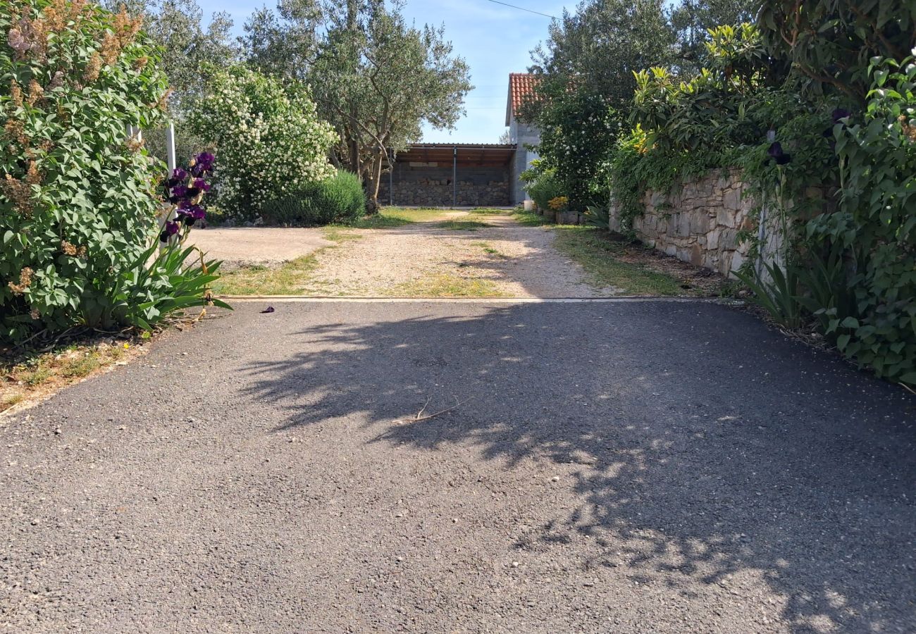 Apartment in Brištane - Rural Apartment Ante 