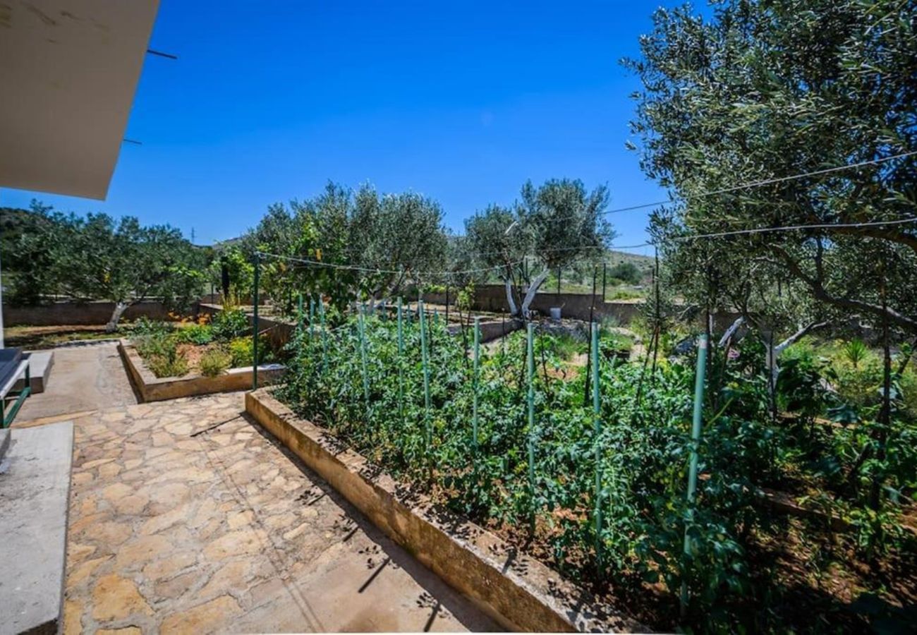 House in Žaborić - Holiday Home Maslina - Three bedroom house with a garden view