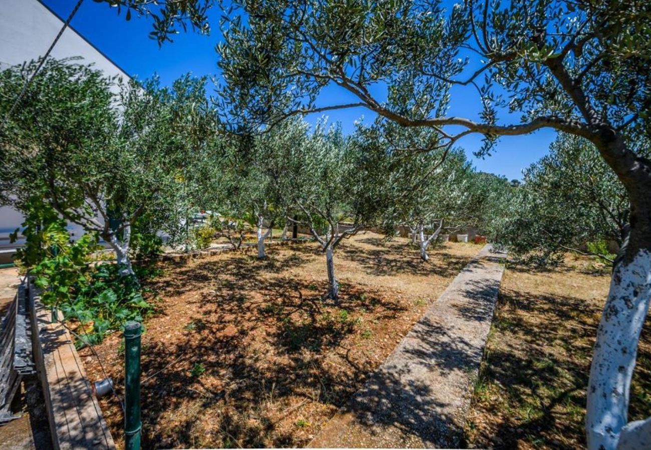 House in Žaborić - Holiday Home Maslina - Three bedroom house with a garden view