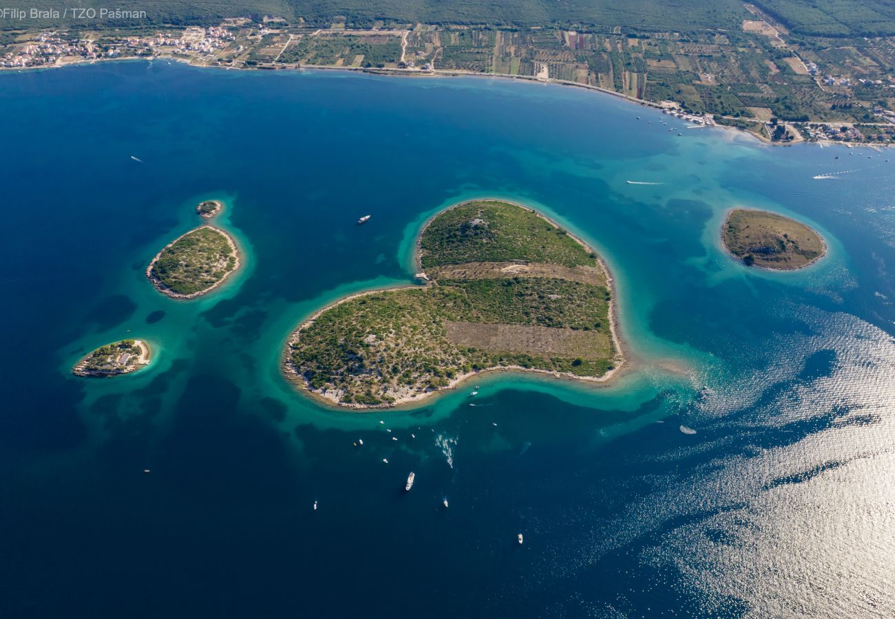 House in Pašman - Stone House Jadranka - with terrace