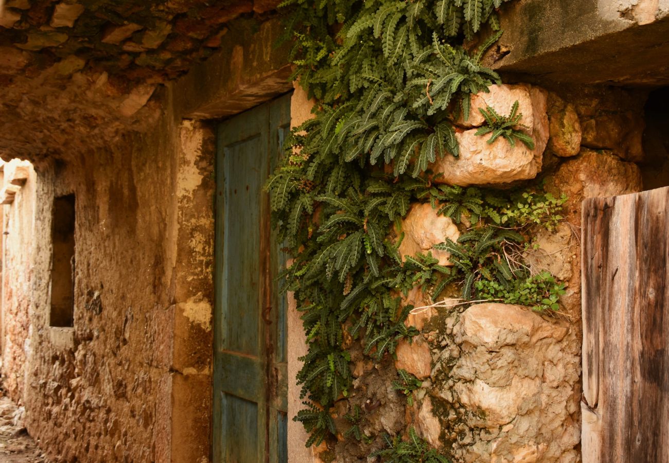 House in Pašman - Stone House Jadranka - with terrace