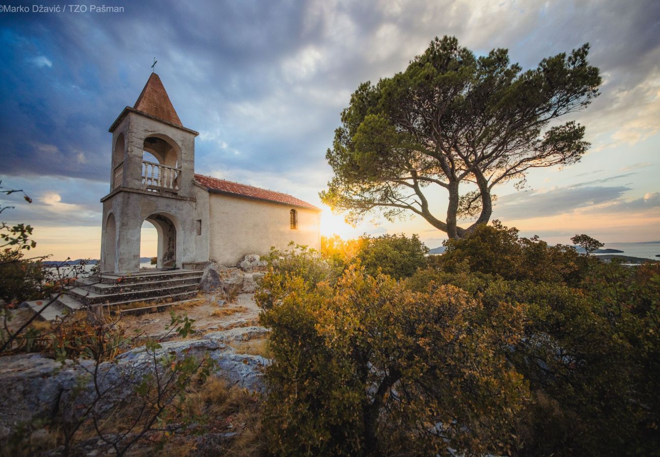 Apartment in Pašman - Apartments Torina Pašman - with balcony A3