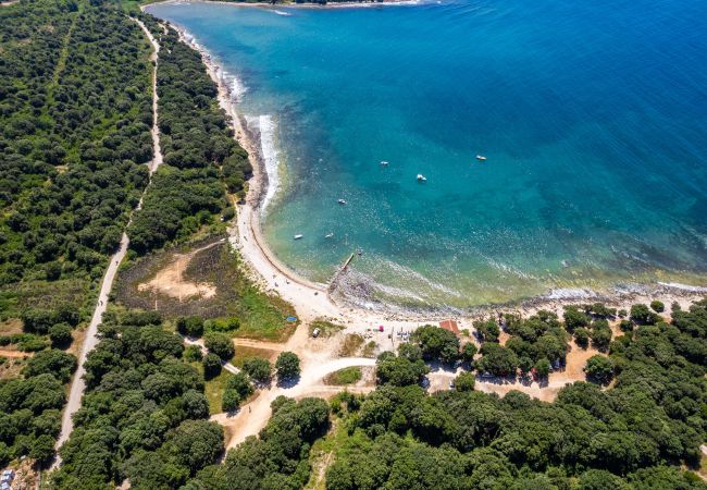 Apartment in Peroj - Barbariga Summer Beach Paradise 2 Apartment in Peroj - Barbariga Summer Beach Paradise 2