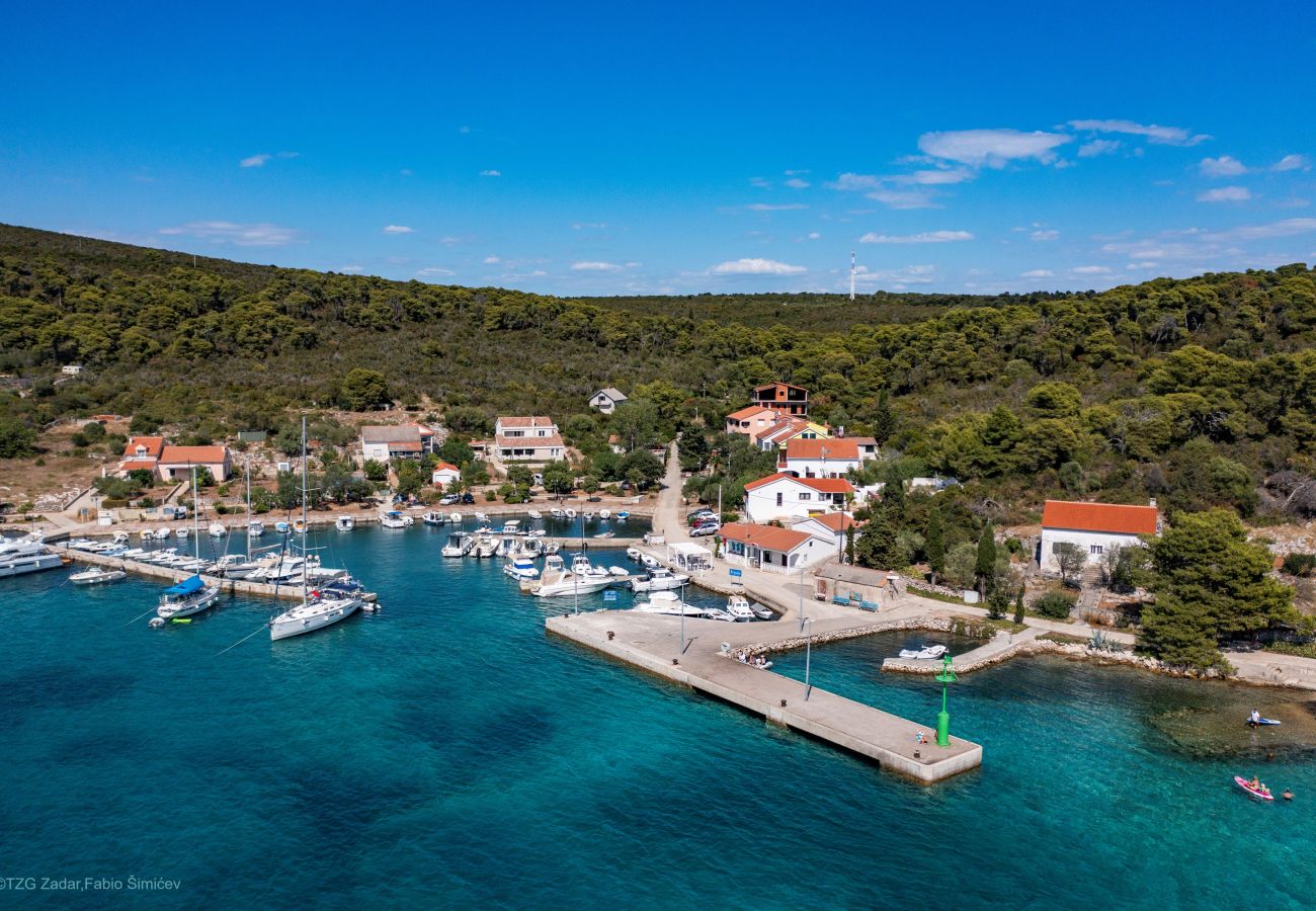 Studio in Brgulje - Studio Apartments Darija - A1