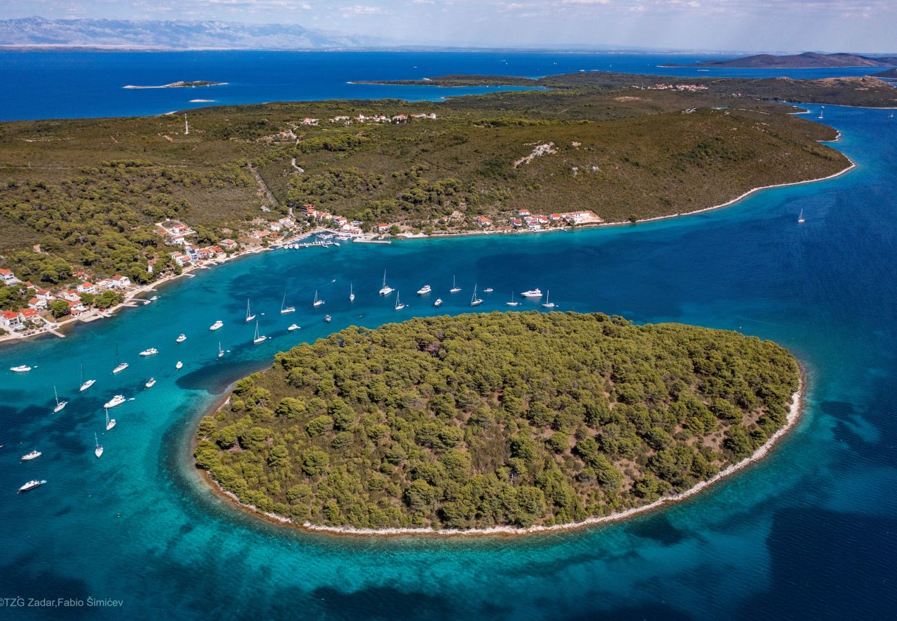 Studio in Brgulje - Studio Apartments Darija - A2