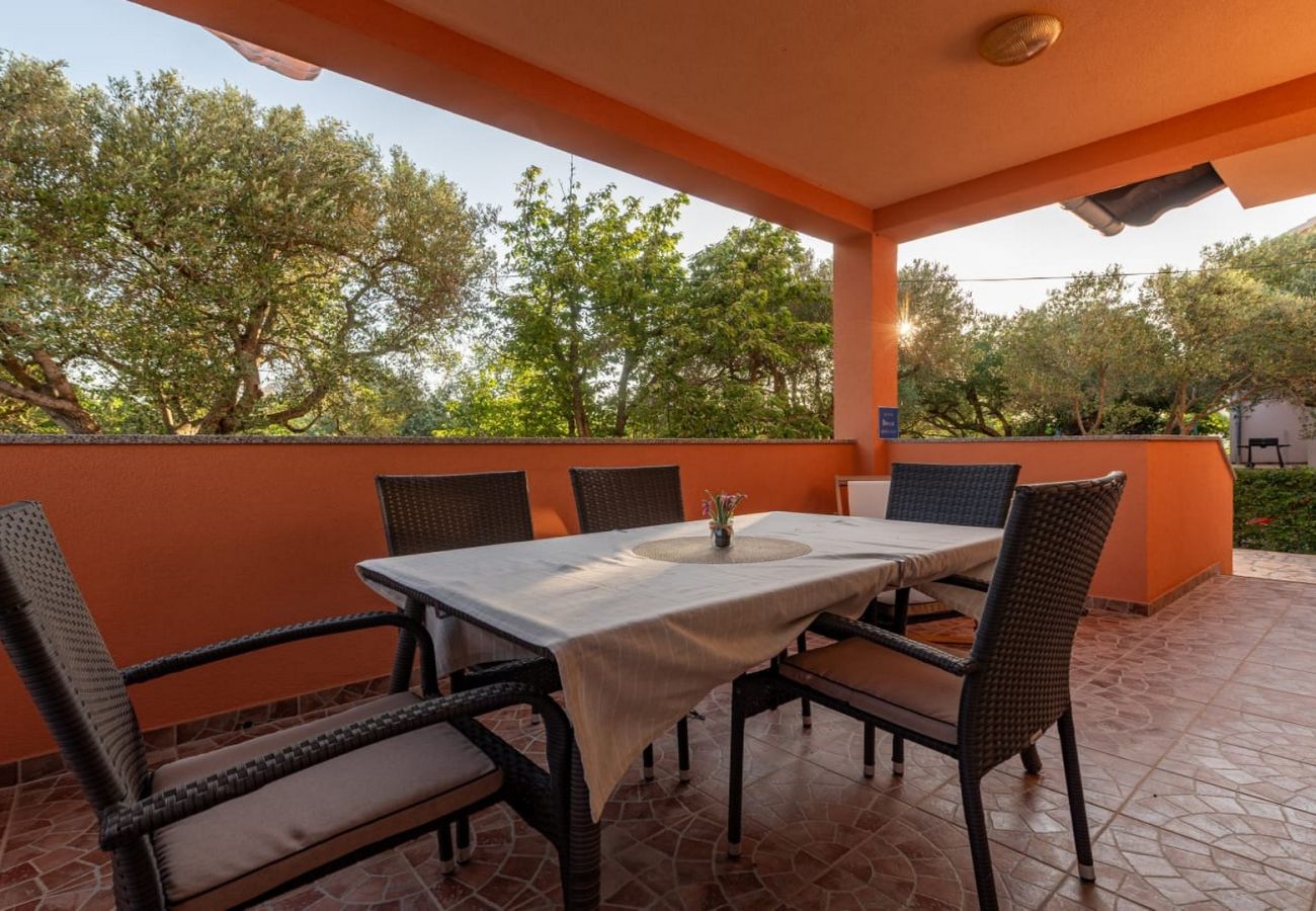 Apartment in Sukošan - Apartment Dora - Two bedroom apartment with terrace