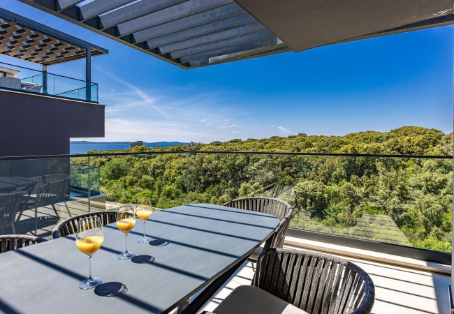 Apartment in Zadar - The Skyview Penthouse with Infinity Pool Apartment in Zadar - The Skyview Penthouse with Infinity Pool