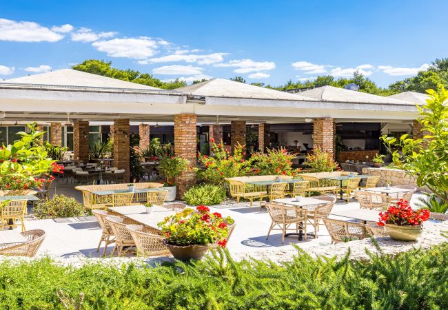 Apartment in Šibenik - Resort Apartment A1 (2+2) 2 Apartment in Šibenik - Resort Apartment A1 (2+2) 2