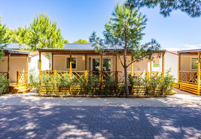 Mobile home in Šibenik - Resort Standard Mobile Home (4+2) 2 Mobile home in Šibenik - Resort Standard Mobile Home (4+2) 2