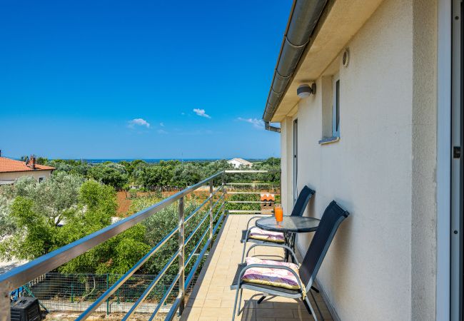 Apartment in Galižana - Apartment Vito with Balcony Apartment in Galižana - Apartment Vito with Balcony