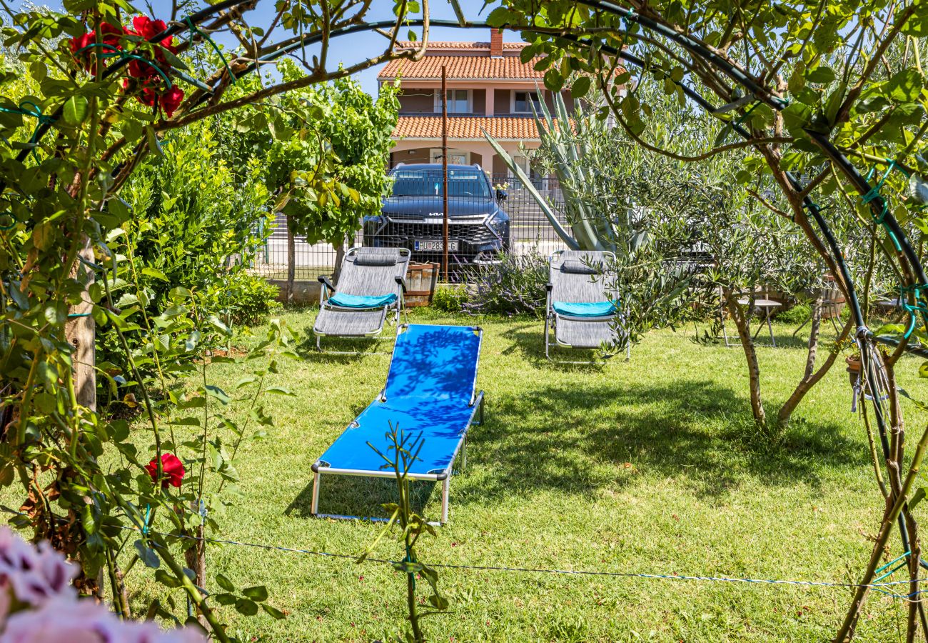 Apartment in Galižana - Apartment Vito with Balcony