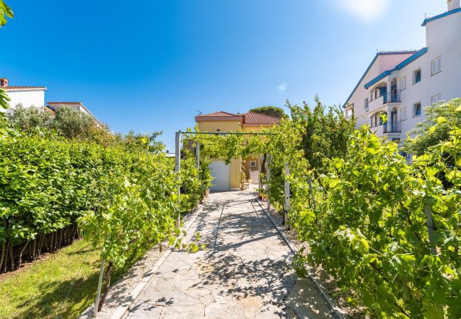 Apartment in Sukošan - Beach Apartment Villa Carmen Apartment in Sukošan - Beach Apartment Villa Carmen