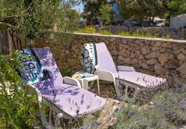 House in Petrcane - La Casita Holiday Home House in Petrcane - La Casita Holiday Home