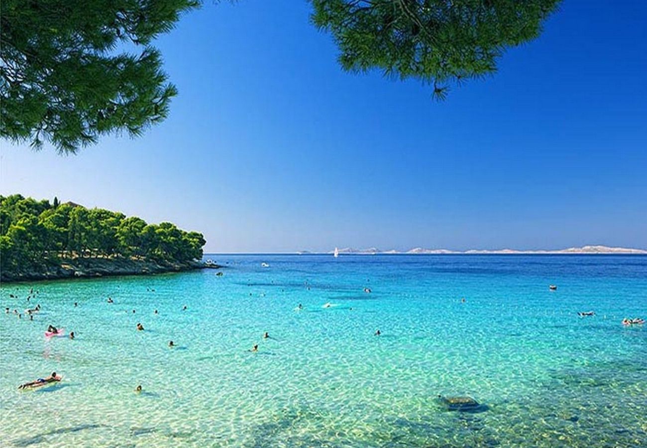 Apartment in Murter - Sunshine Apartment Yellow