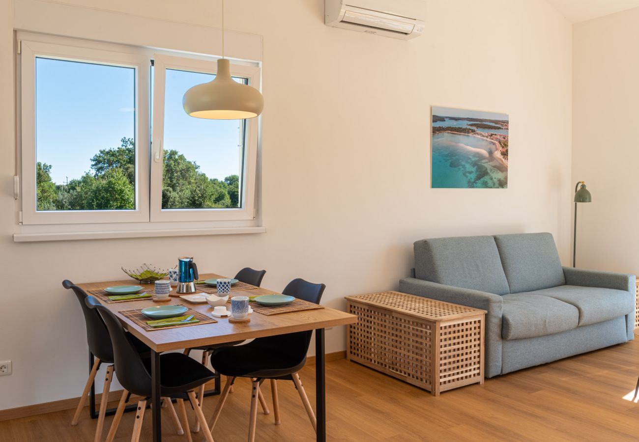 House in Medulin - Renata’s Pool House Medulin (2+2)