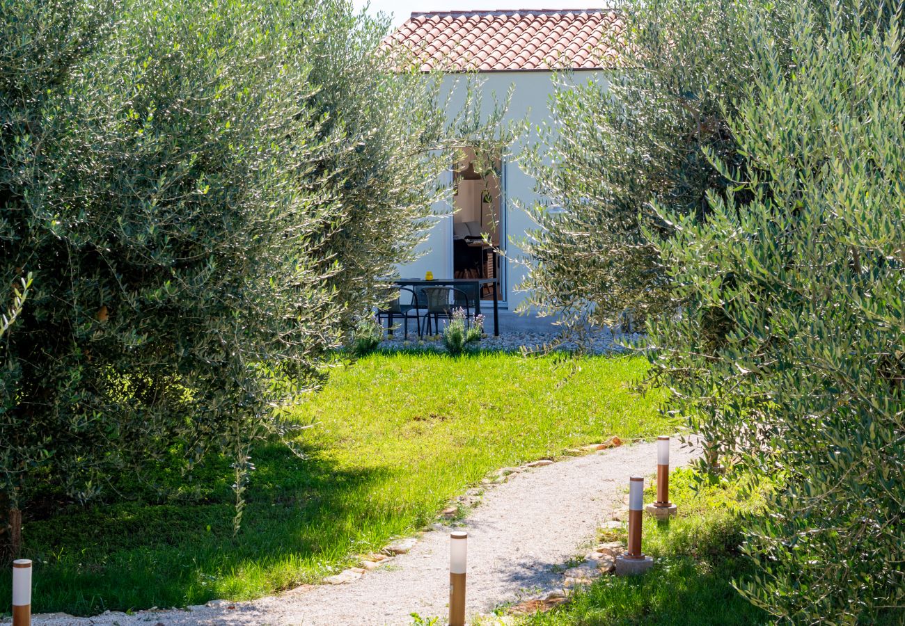 House in Medulin - Renata’s Pool House Medulin (2+2)