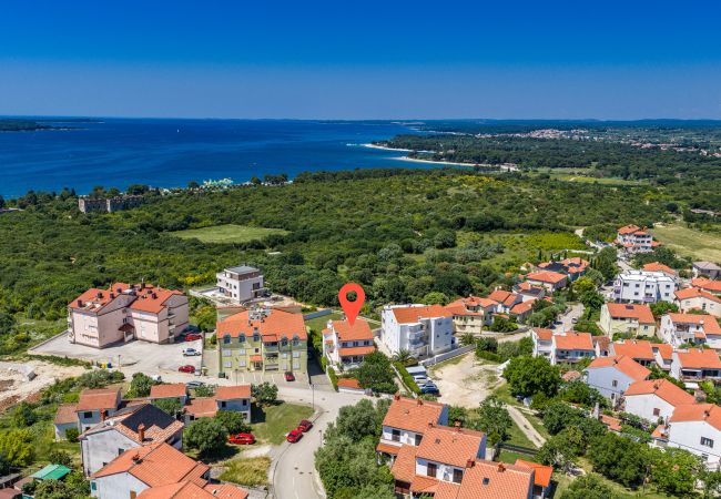 Apartment in Štinjan - Family Apartment Stinjan with Garden View