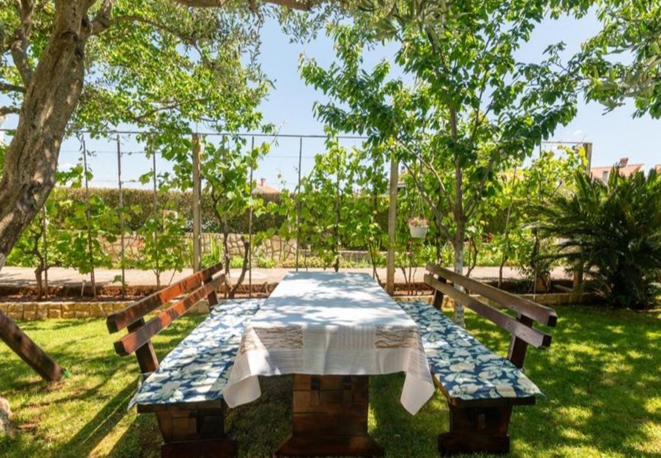 Apartment in Štinjan - Family Apartment Stinjan with Garden View