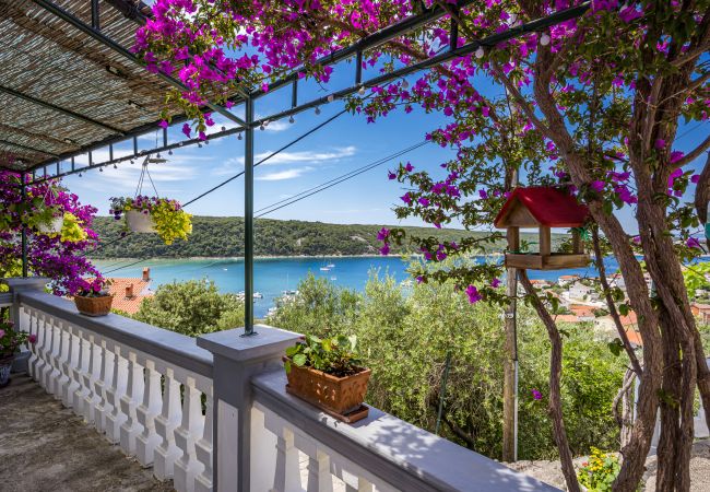 Apartment in Kampor - Sea View Apartment Ankica with Terrace