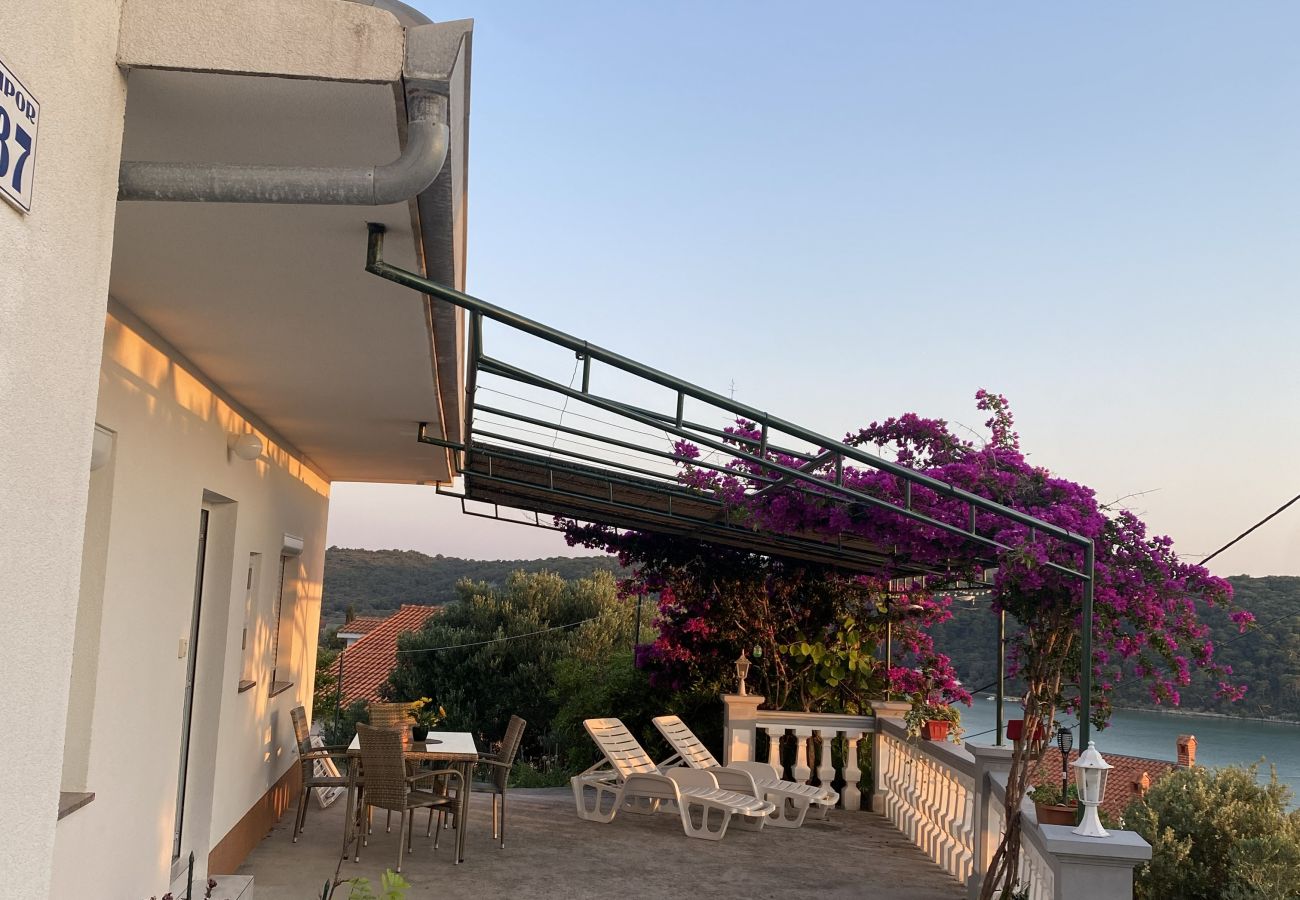 Apartment in Kampor - Sea View Apartment Ankica with Terrace