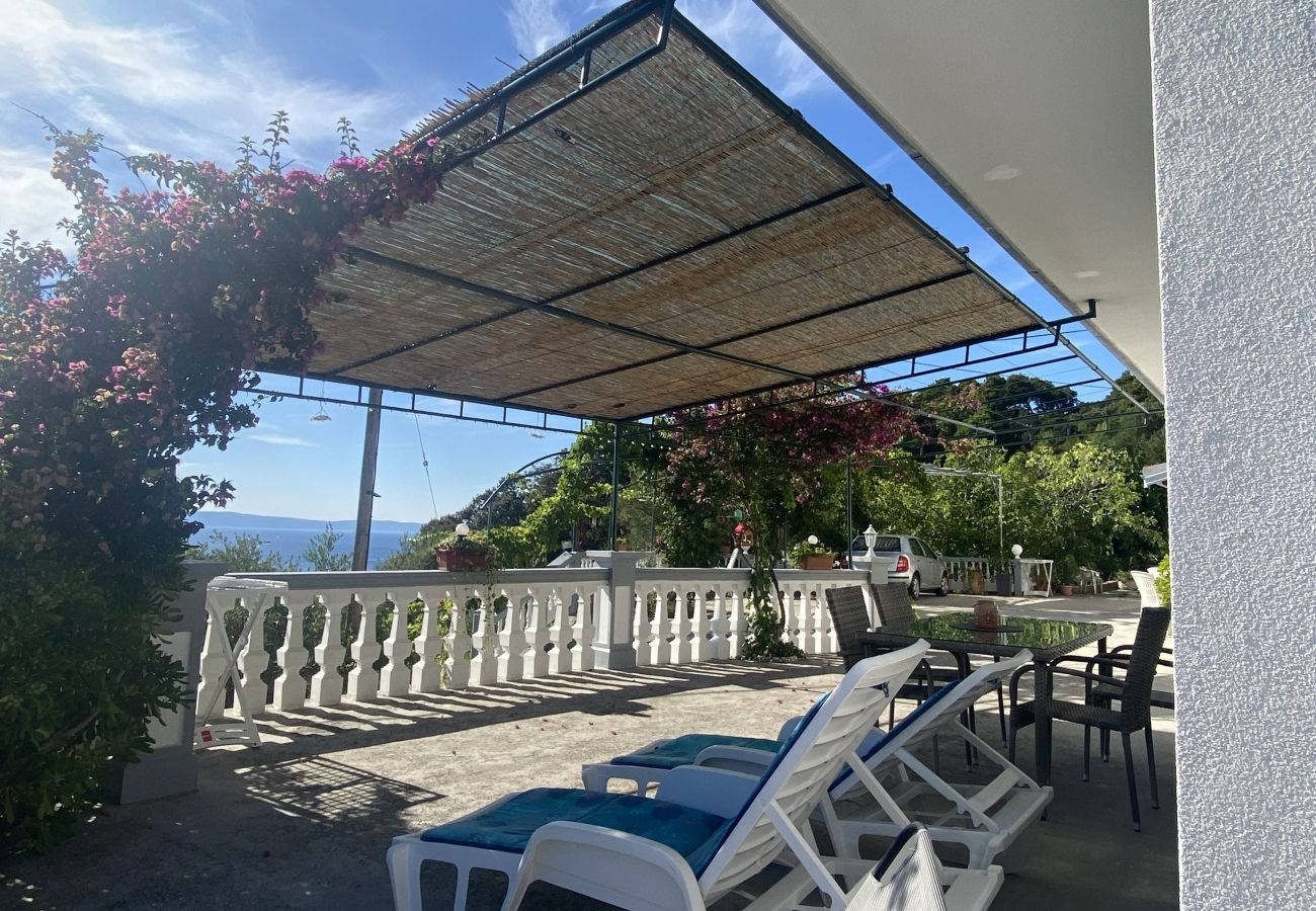 Apartment in Kampor - Sea View Apartment Ankica with Terrace