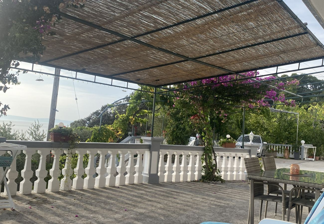 Apartment in Kampor - Sea View Apartment Ankica with Terrace