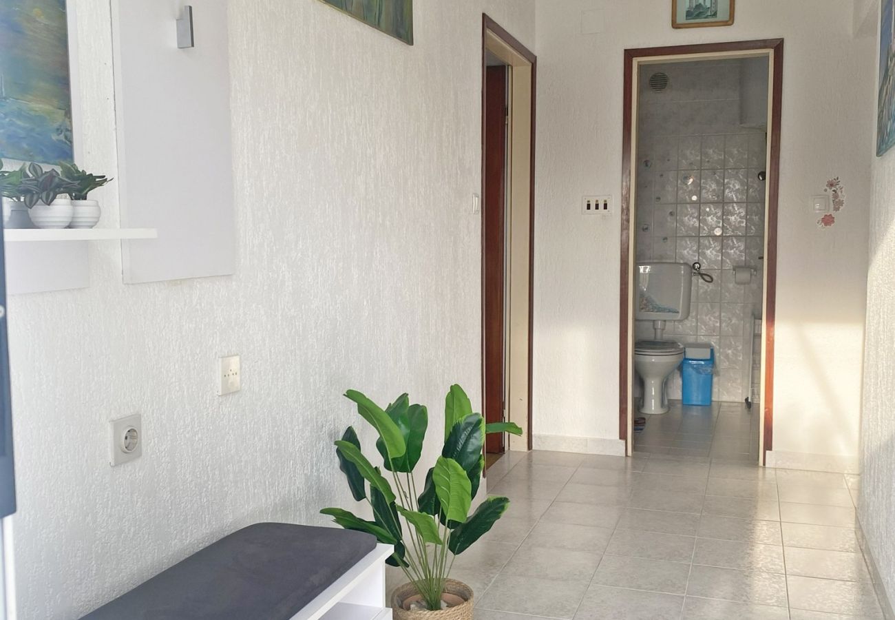 Apartment in Kampor - Sea View Apartment Ankica with Terrace