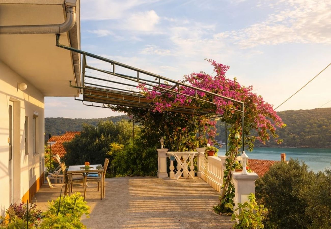 Apartment in Kampor - Sea View Apartment Ankica with Terrace