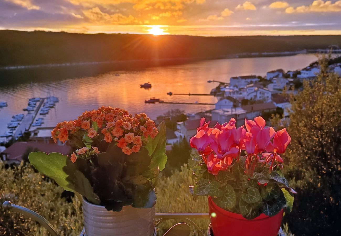 Apartment in Kampor - Sea View Apartment Ankica with Terrace