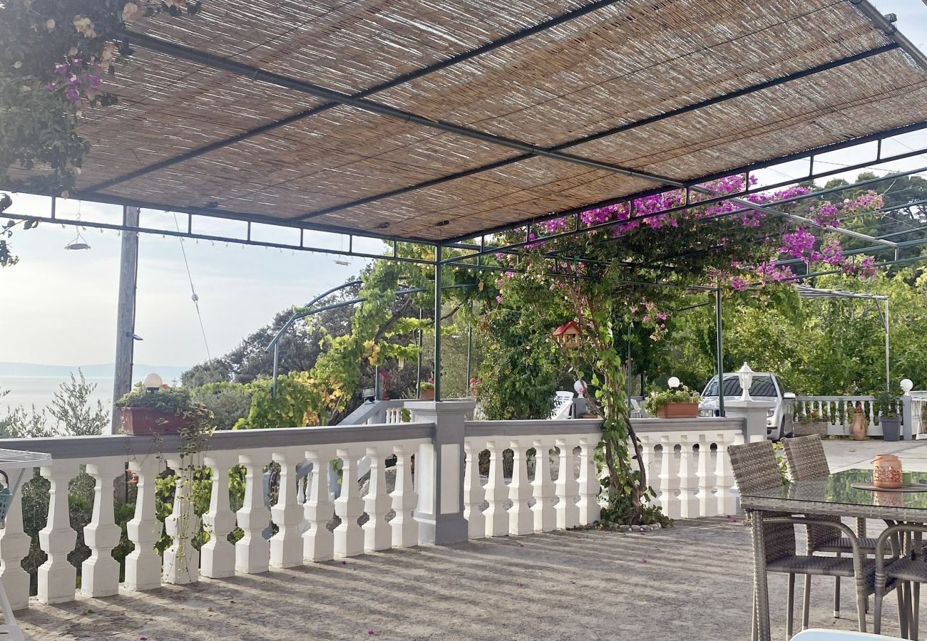 Apartment in Kampor - Sea View Apartment Ankica with Terrace